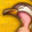 ✇